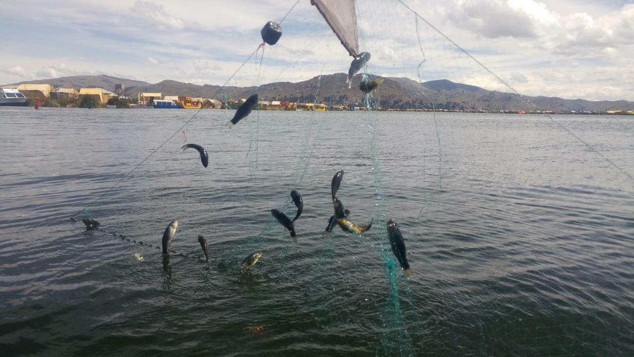 Quechua Lodge Titicaca プーノ エクステリア 写真