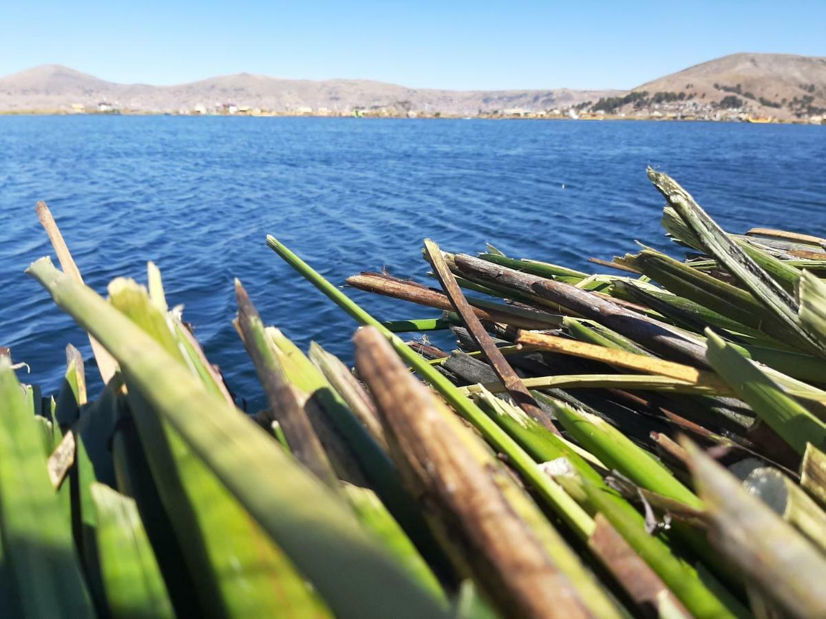 Quechua Lodge Titicaca プーノ エクステリア 写真